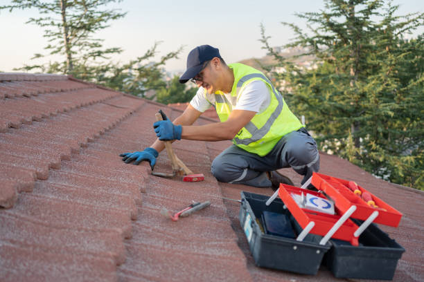 Best Metal Roofing Installation  in Osceola, MO